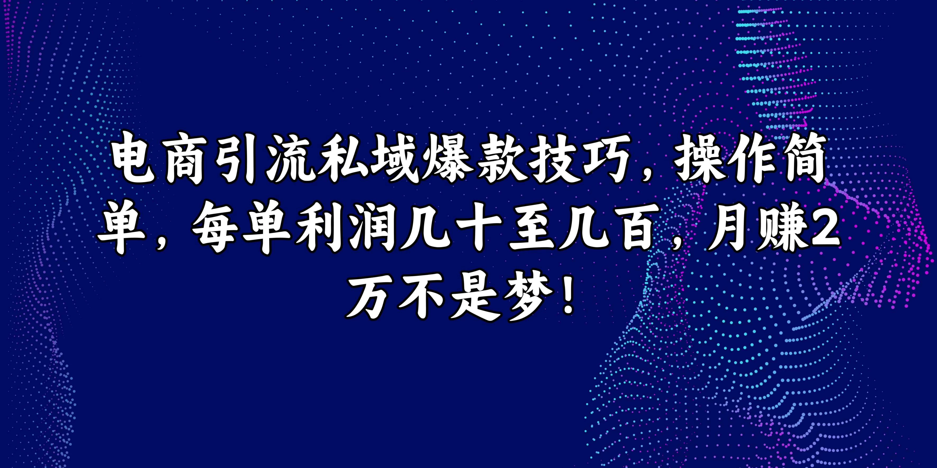 电商引流私域爆款技巧，操作简单，每单利润几十至几百，月赚2万不是梦！ - 火火兔电子商城