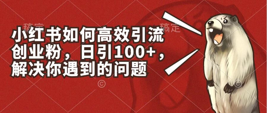 小红书如何高效引流创业粉，日引100+，解决你遇到的问题 - 火火兔电子商城