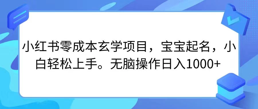 小红书零成本玄学项目，宝宝起名，小白轻松上手，无脑操作日入1000+ - 火火兔电子商城