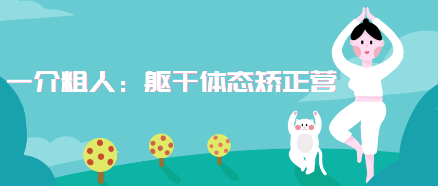 一介粗人：躯干体态矫正营 - 火火兔电子商城