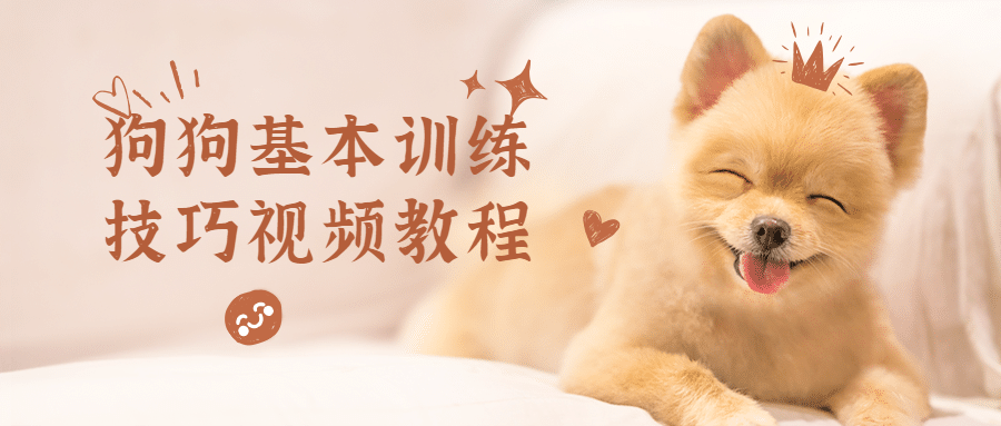 狗狗基本训练技巧视频教程 - 火火兔电子商城