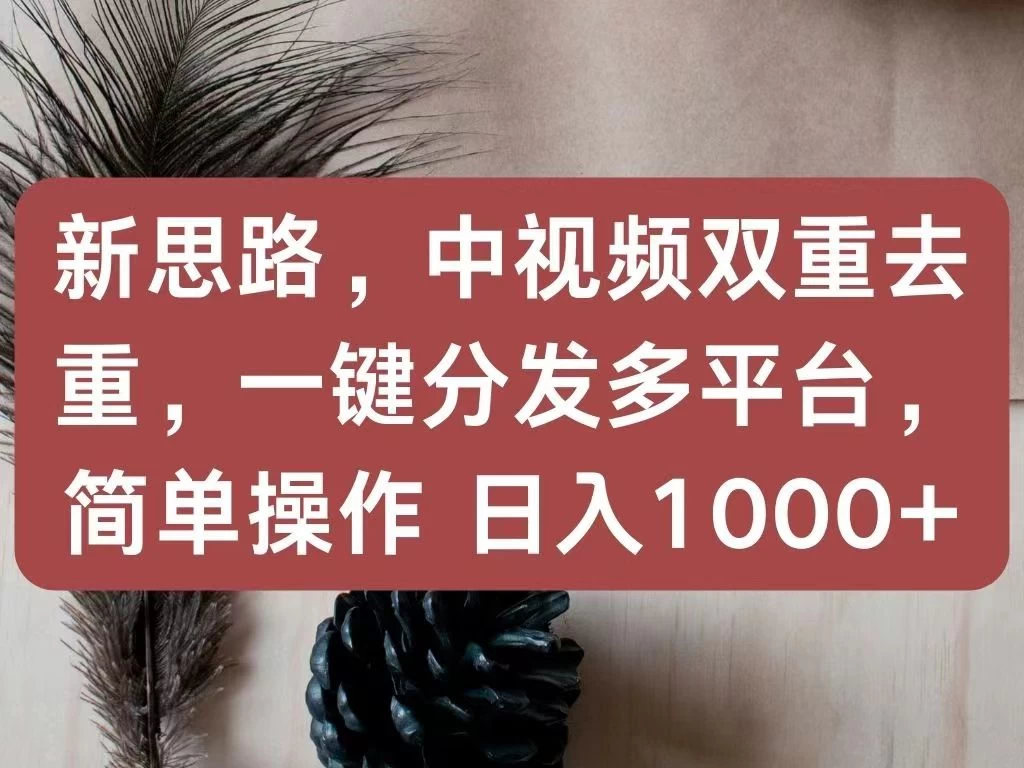 新思路，中视频双重去重，一键分发多平台，简单操作，日入1000+！快来试试吧！ - 火火兔电子商城