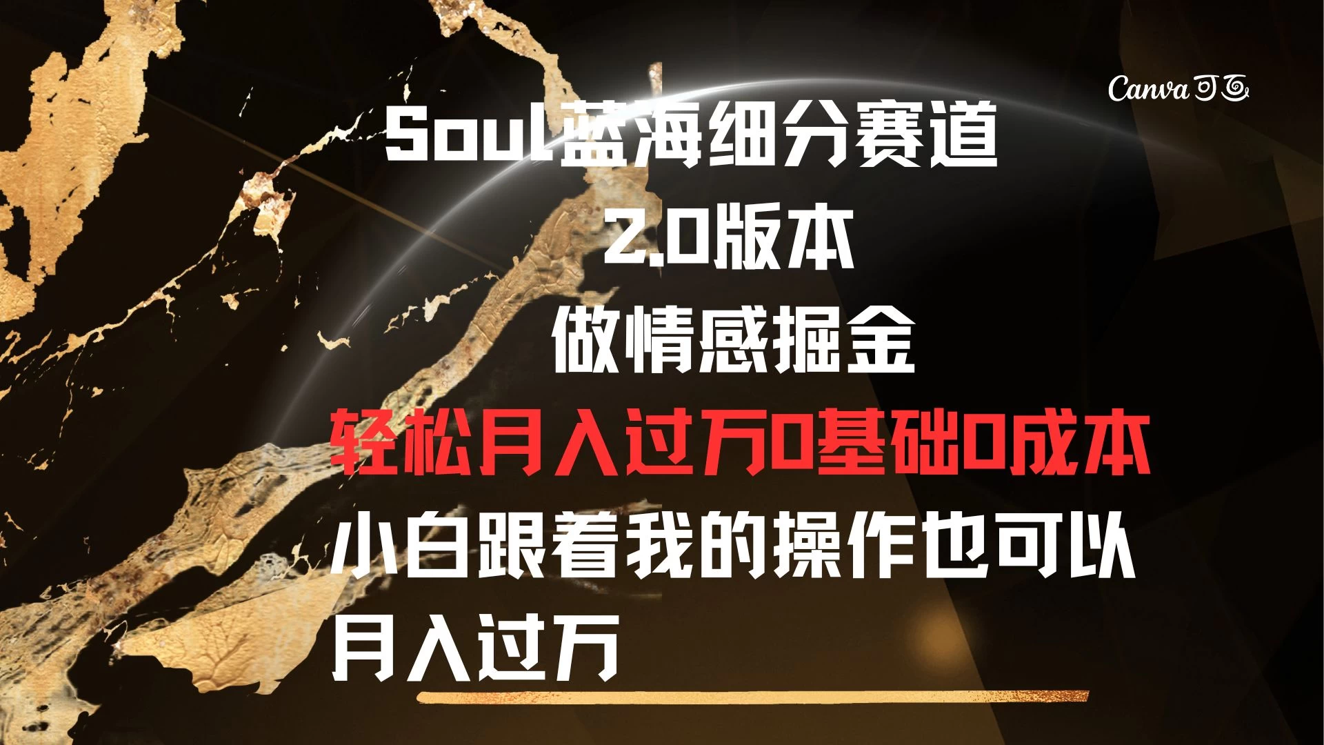 Soul蓝海细分赛道，2.0版本，做情感掘金，轻松月入过万，0基础，0成本，小白跟着我的操作也可以月入过万 - 火火兔电子商城