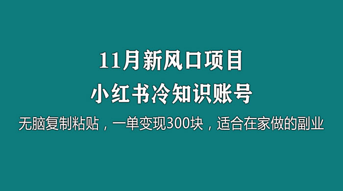 11 月新风口项目，小红书冷知识账号，无脑复制粘贴，一单变现 300 块，适合在家做的副业 - 火火兔电子商城