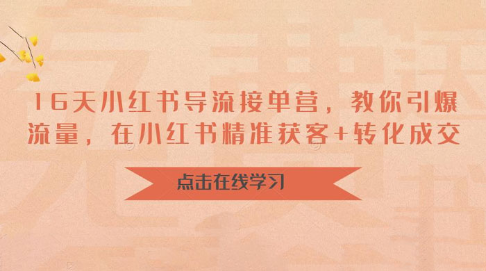 16 天小红书导流接单营：教你引爆流量，在小红书精准获客+转化成交 - 火火兔电子商城