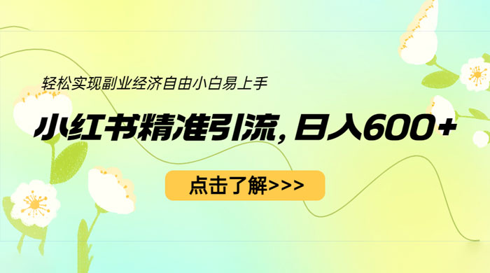 小红书精准引流：轻松实现副业经济自由（教程 + 1153G 资源） - 火火兔电子商城