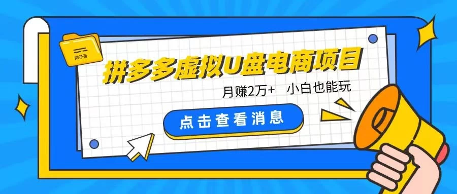 拼多多虚拟U盘电商红利项目：月赚2万+，新手小白也能玩 - 火火兔电子商城