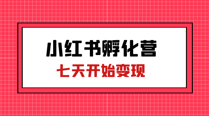 价值 2000+ 的小红书孵化营项目，超级大蓝海，七天即可开始变现，稳定月入 1W+ - 火火兔电子商城