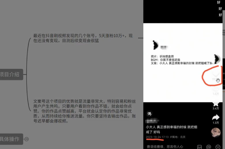 图片[2] - 最新抖音暴力文案号，五天涨粉 10w+，喂饭级拆解教学 - 火火兔电子商城