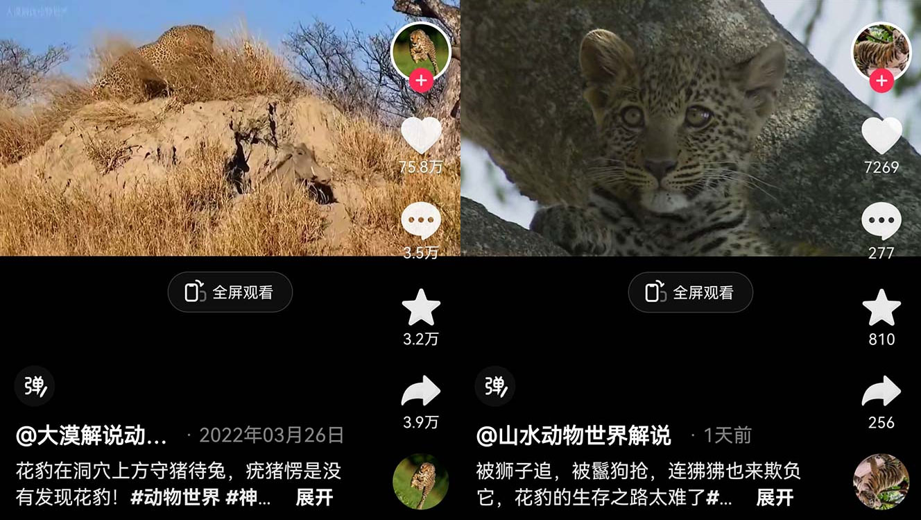 外面卖 1699 的国外纪录片解说：动物、美食、动画片解说，稳过中视频 - 火火兔电子商城