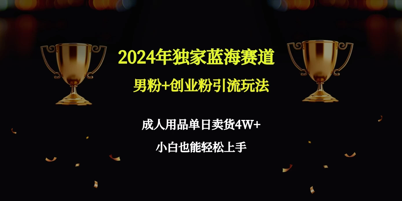 2024独家蓝海赛道，男粉＋创业粉引流玩法。 - 火火兔电子商城